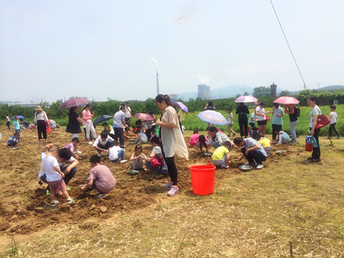 家长孩子动手种小花苗